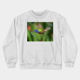 Painted Bunting Bird in Flight Crewneck Sweatshirt